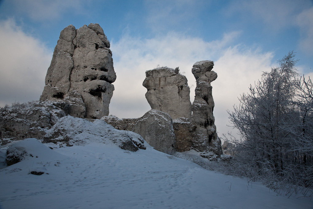 Ogrodzieniec